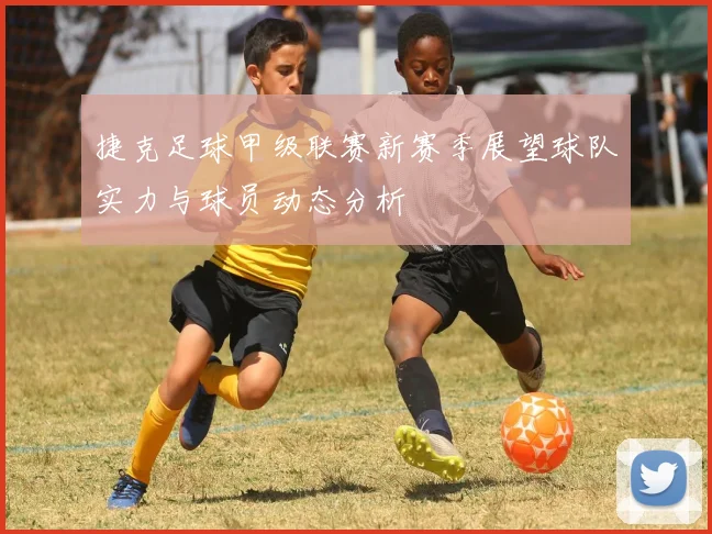 捷克足球甲级联赛新赛季展望球队实力与球员动态分析