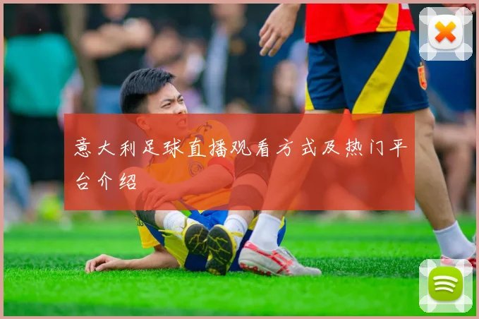 意大利足球直播观看方式及热门平台介绍