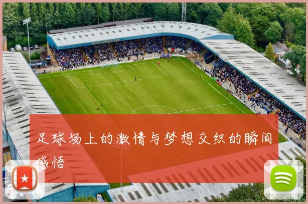 足球场上的激情与梦想交织的瞬间感悟