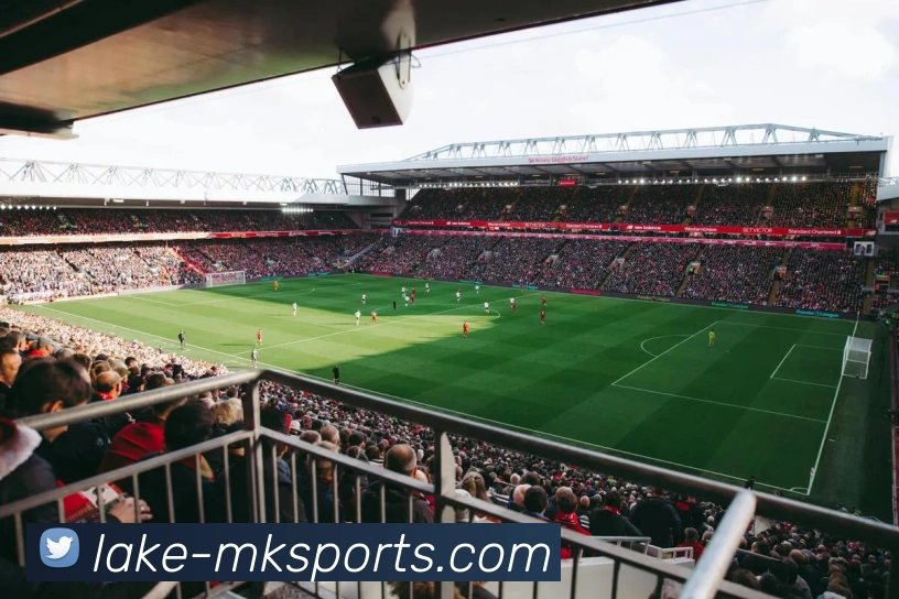 MK体育平台生态图